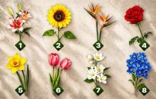 Романтичний тест особистості: квітка розповість, хто ваша ідеальна друга половинка