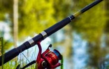 5 дней отличного клева: когда идти на рыбалку в конце апреля