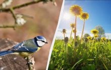 25 квітня в Україні: яка професія має свято і чому потрібно дарувати подарунки сьогодні