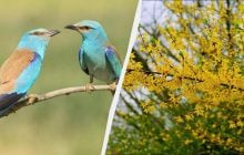 Праздник 26 апреля: какая важная годовщина в Украине и что грех делать сегодня