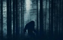 У 1977-му докази існування снігової людини передали ФБР: експертиза здивувала