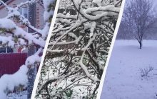 В Украине заснежило с новой силой: холод с севера накрыл страну (фото, видео)