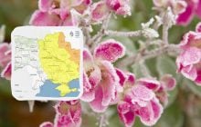 Заморозки атакують Україну сьогодні вночі: температура впаде до "мінусів" (карта)