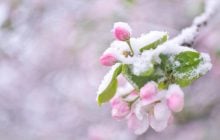 Мокрий сніг, дощі, похолодання та сильний вітер атакують Україну 26 квітня, - синоптикиня