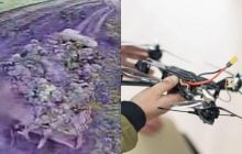 Украинский оператор FPV-дрона ликвидировал 11 оккупантов одним ударом