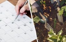 Точный посевной календарь на май 2026: когда высаживать рассаду с учетом холодов