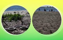 Що буде на місці Каховського водосховища через 100 років: прогноз еколога