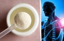 Вчені навчилися вирощувати кісткову тканину на основі кератину з вовни тварин