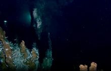 Найбільше у світі місце проживання "зомбі-черв'яків": що це за печера