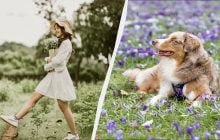 Велике свято для любителів футболу: що Україна відзначає 29 квітня 2026 року