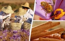 Ці спеції завжди підробляють: як виготовляють справжню корицю, шафран і ваніль