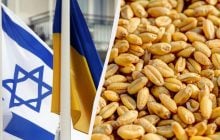 Україна вручила ноту протесту послу Ізраїлю через крадене Росією зерно