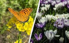 Велике свято 30 квітня в Україні: кого вітаємо сьогодні і яка є прикмета на щастя