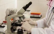 Вони повернулися через 40 000 років: на Алясці ожили істоти з льодовикового періоду