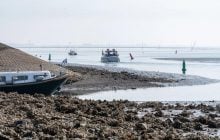 У США готові заплатити $200 000 за спосіб зупинити проблему, яка вже коштує мільярди