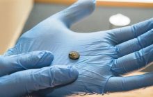 У Берліні школяр випадково знайшов монету з античної Трої: який вона має вигляд