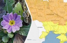 В Україні похолоднішає до -3°: синоптики розказали, де підморозить (карта)