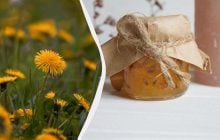 Солодке й густе, як мед: як приготувати сезонне варення з кульбаб