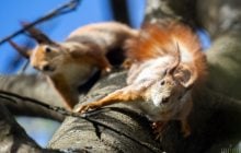 Почти лето: в Украину идет потепление до +24°