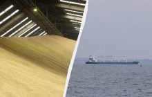 Ізраїльський імпортер відмовився від судна з викраденим українським зерном, – ЗМІ