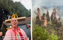 У мережі показали McDonald's із "найкращими краєвидами у світі": де він розташований (відео)
