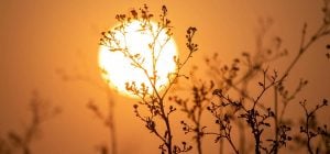 Місячний календар на квітень: коли укладати угоди, просити підвищення та йти на побачення