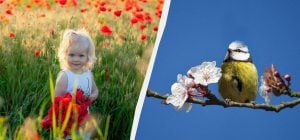 Обряд на здоров'я у свято 4 квітня: що сьогодні потрібно випити зранку