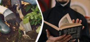 В эти два дня заниматься растениями и огородом запрещено: когда они наступят