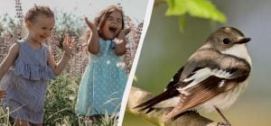 Большой праздник в Украине и профессиональный в мире: что 9 апреля сделать дома