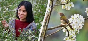 Почему 10 апреля - грустный и опасный день: украинские приметы в праздник сегодня