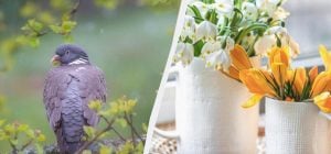 Сегодня большой праздник в Украине: что 11 апреля каждому нужно сделать дома