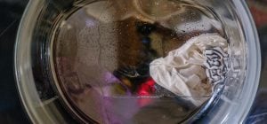 Роками боролися з пліснявою у пралці, поки не спробували це: що залити в барабан