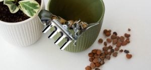 Эксперты развенчали популярный миф: камни на дне горшка могут погубить растения