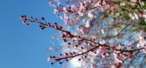 Когда новолуние в апреле: астролог назвала дату и 5 знаков Зодиака, которым повезет