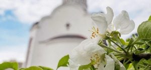 Церковный календарь на апрель 2026: когда Проводы и день Георгия Победоносца