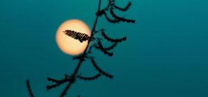 Лунный календарь на апрель 2026: какие даты принесут деньги, а какие - проблемы