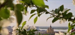 20 апреля: церковный праздник сегодня, начало Проводной недели, что нельзя делать до обеда