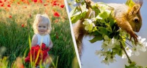 24 квітня - свято молоді: що сьогодні зазвичай готують згідно з народними прикметами