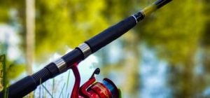 5 дней отличного клева: когда идти на рыбалку в конце апреля