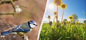 25 апреля в Украине: у какой профессии праздник и почему нужно дарить подарки сегодня