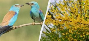 Праздник 26 апреля: какая важная годовщина в Украине и что грех делать сегодня