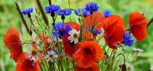 Як відпочиватимемо на травневі свята 2026: вихідні на День праці та День перемоги