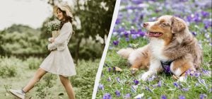 Велике свято для любителів футболу: що Україна відзначає 29 квітня 2026 року