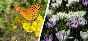 Большой праздник 30 апреля в Украине: кого поздравляем и какая примета на счастье