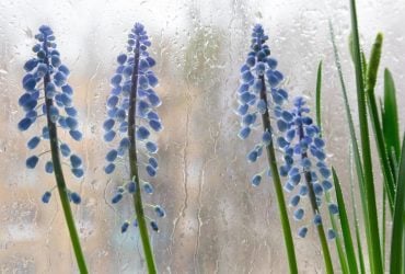 Синоптик розказав, яка погода буде в Україні у перші дні квітня