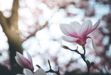 2 апреля погода в Украине улучшится