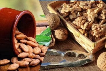 Что лучше для здоровья мозга - грецкие орехи или миндаль: диетологи дали четкий ответ