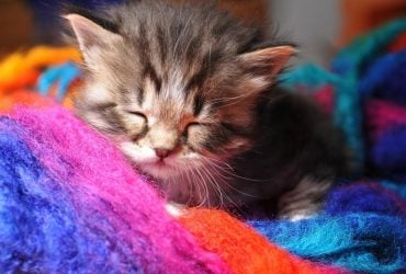 7 квітня в Україні різко похолоднішає: температура впаде по всій країні