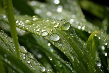 До +18°, но не везде: как изменится погода в Украине на этой неделе