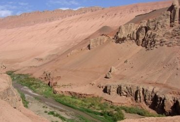 Китай высадил 66 миллиардов деревьев в пустыне размером с Польшу: что изменилось